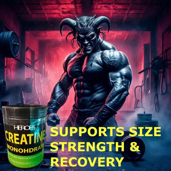 Heroes Creatine 500g for enhanced strength and recovery, promoting optimal performance and muscle growth.