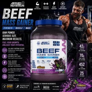 applied-nutrition-beef-protein-mass-gainer-millions-blackcurrant